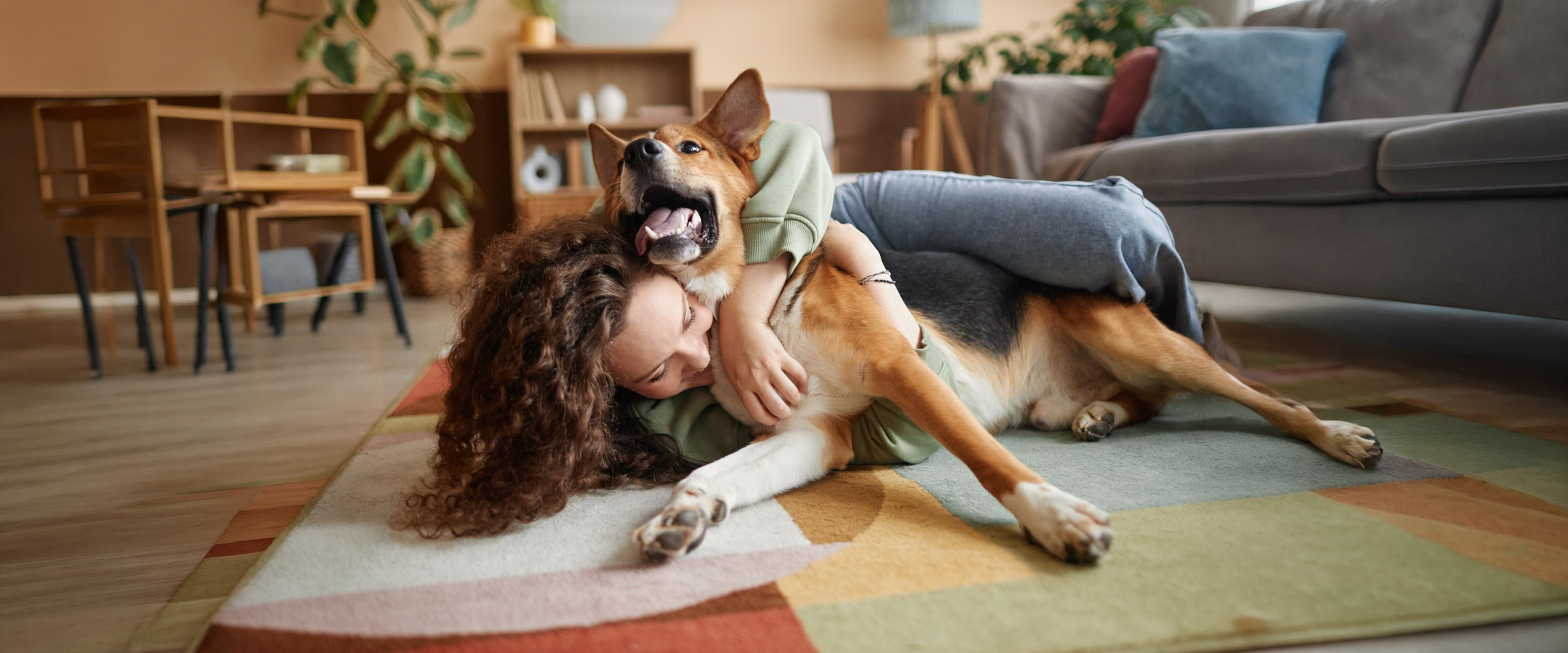 Give your furry best friend the treat they deserve