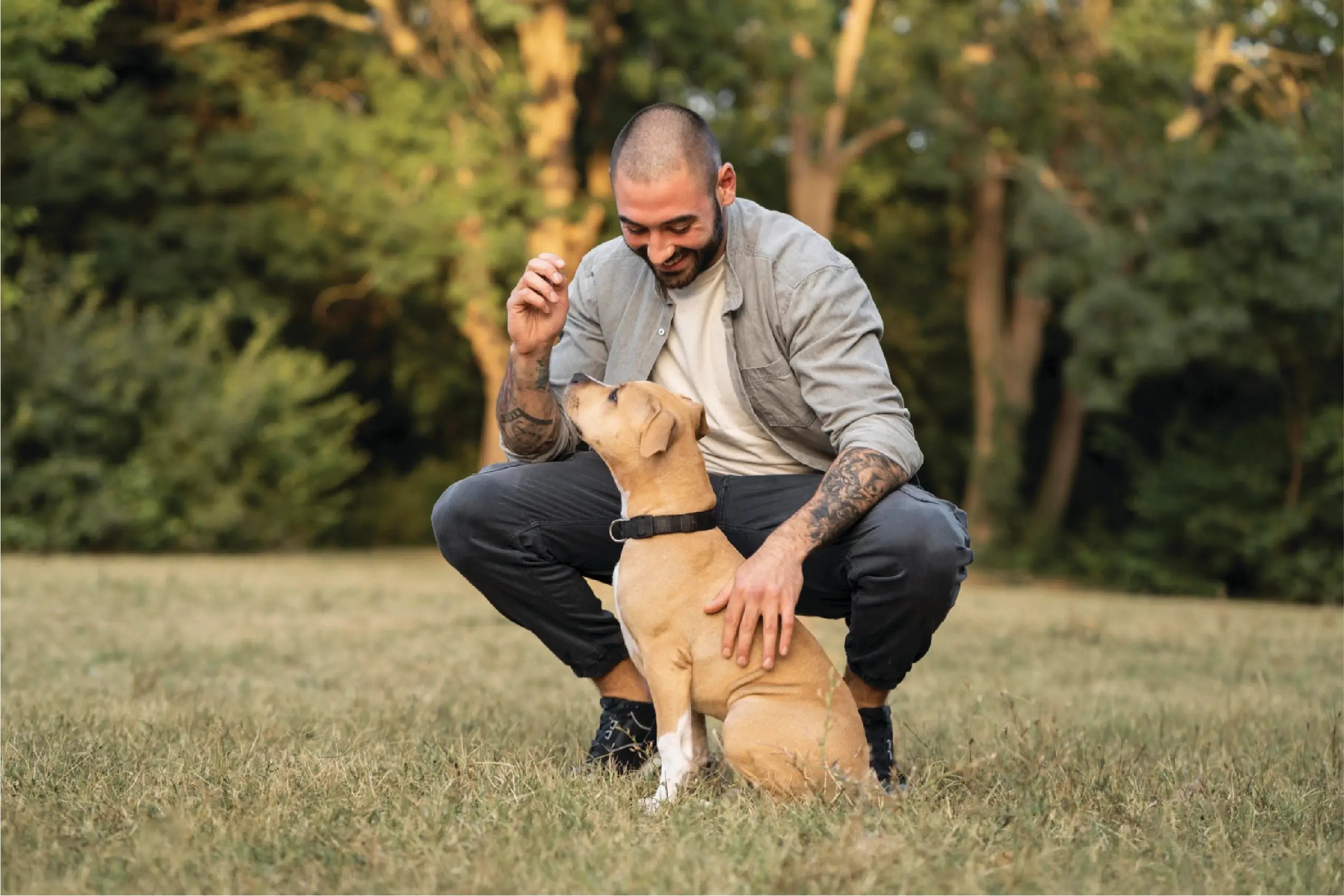Give your furry|best friend the|treat they deserve