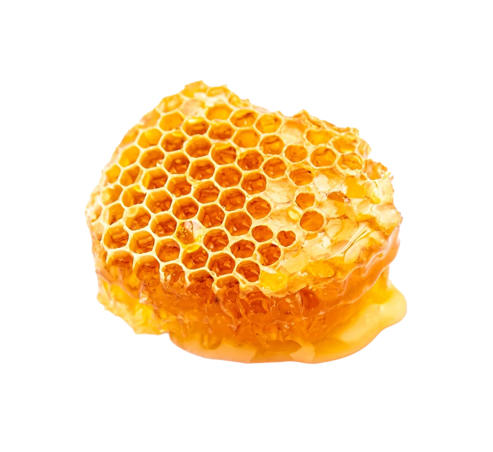 Propolis